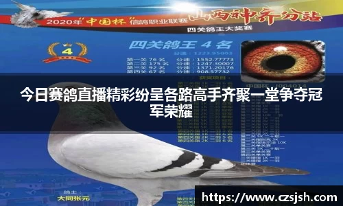 yy体育