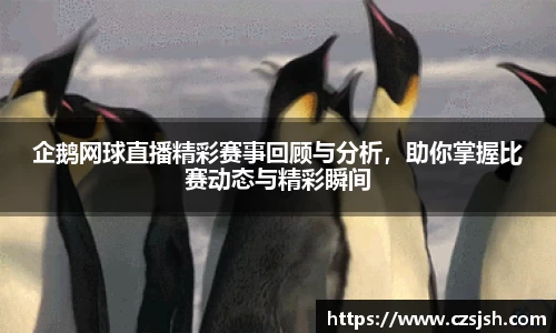 企鹅网球直播精彩赛事回顾与分析，助你掌握比赛动态与精彩瞬间