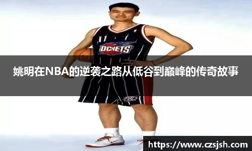 yy体育