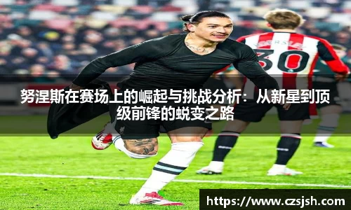 yy易游